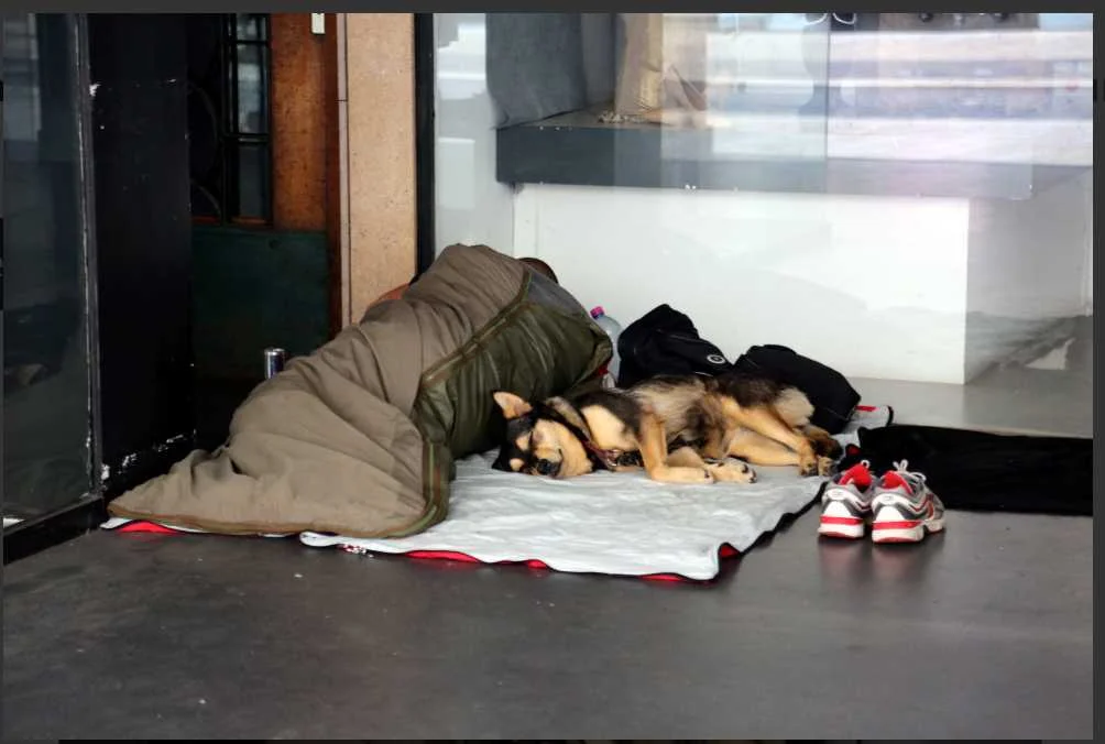 pétition social