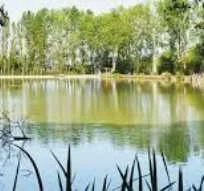 pétition environnement