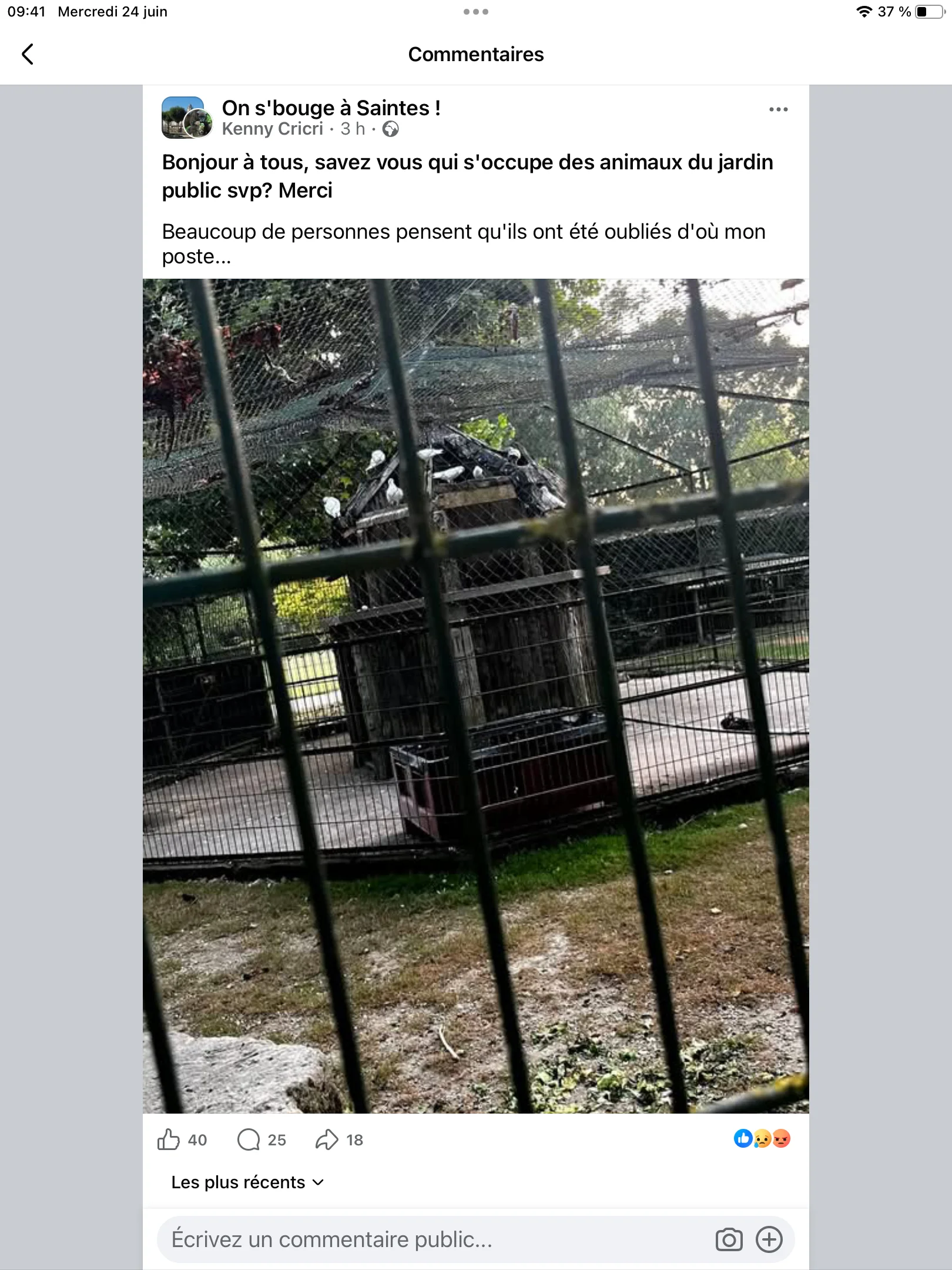 pétition animaux