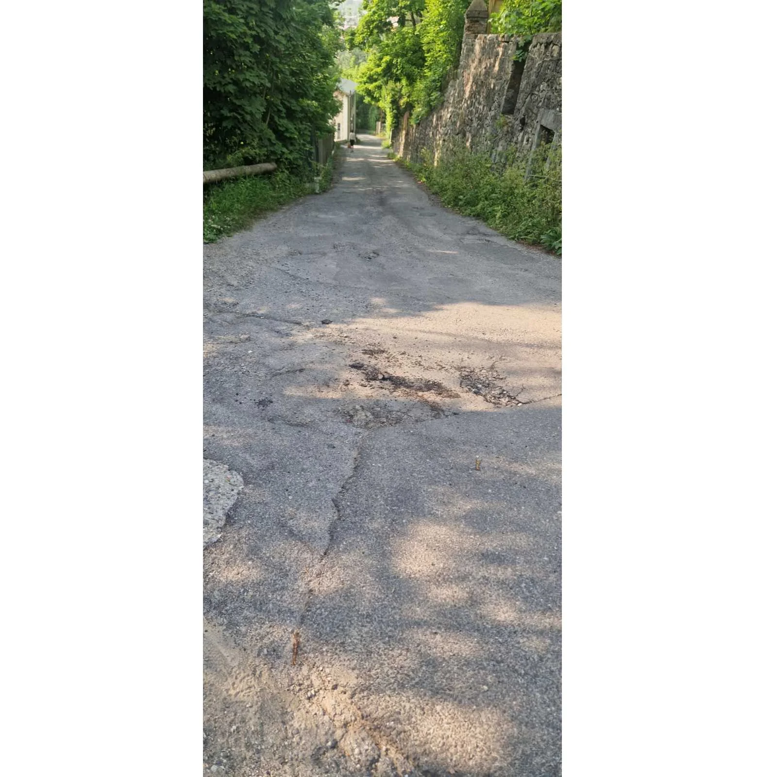 pétition autre