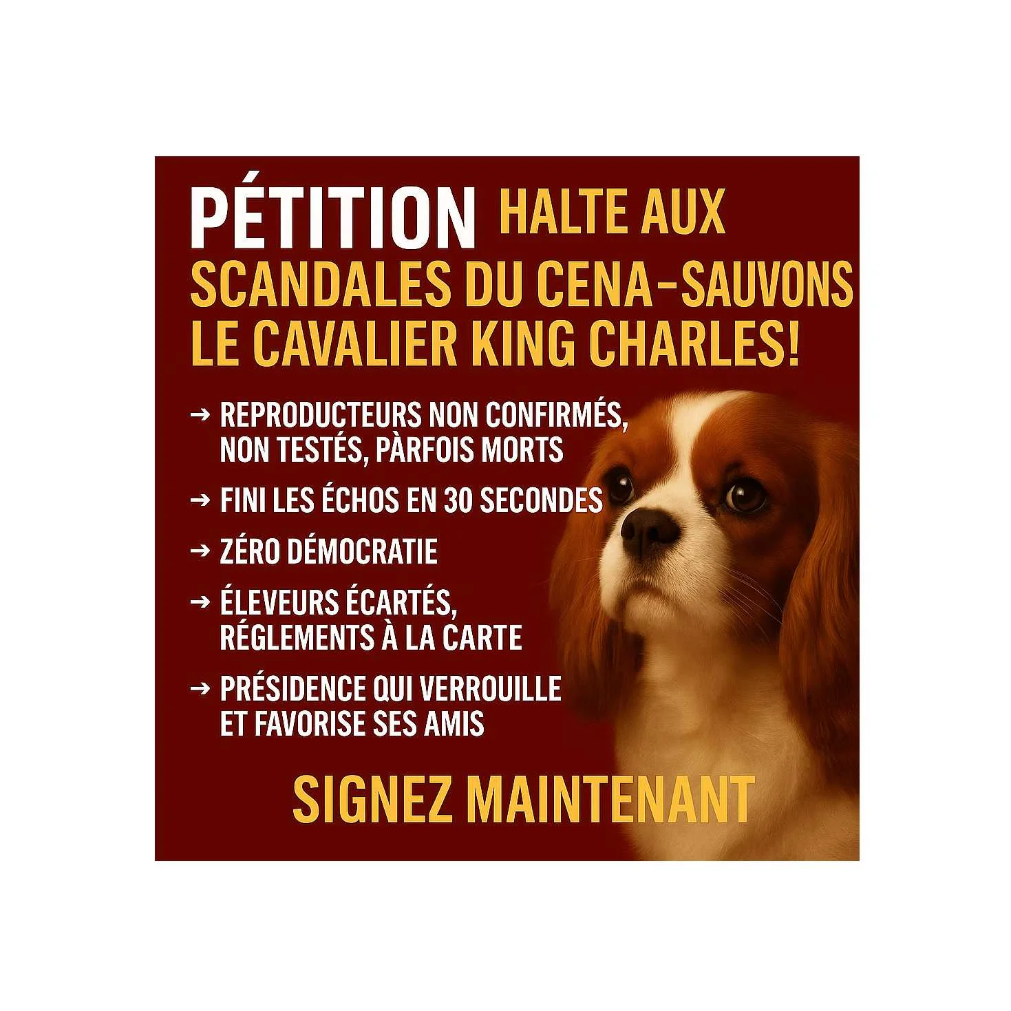 pétition animaux