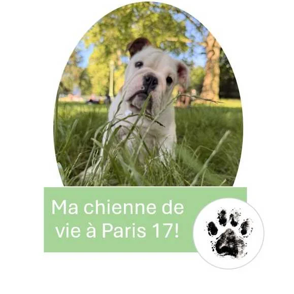 pétition animaux