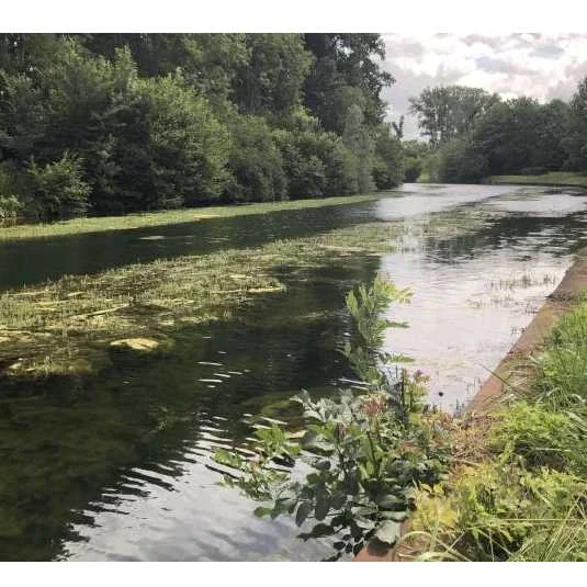 pétition environnement