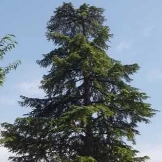 pétition environnement