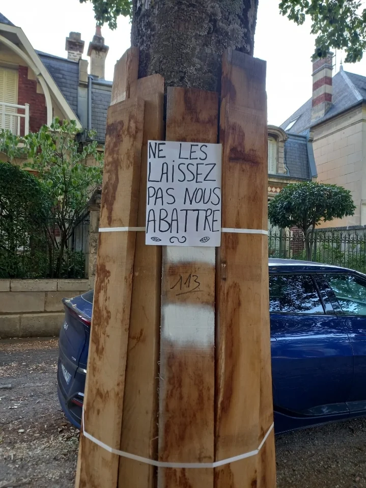 pétition environnement
