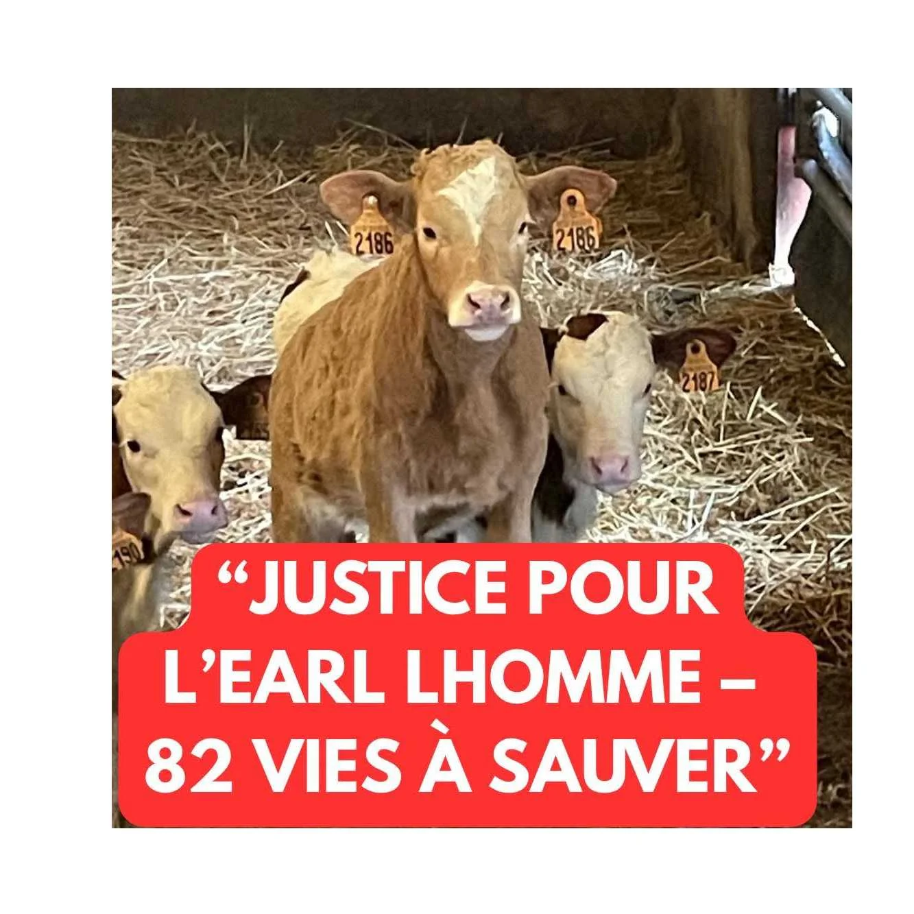 pétition autre