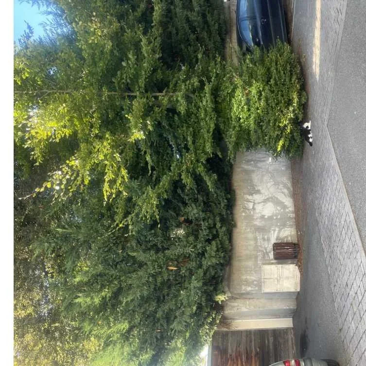 pétition autre