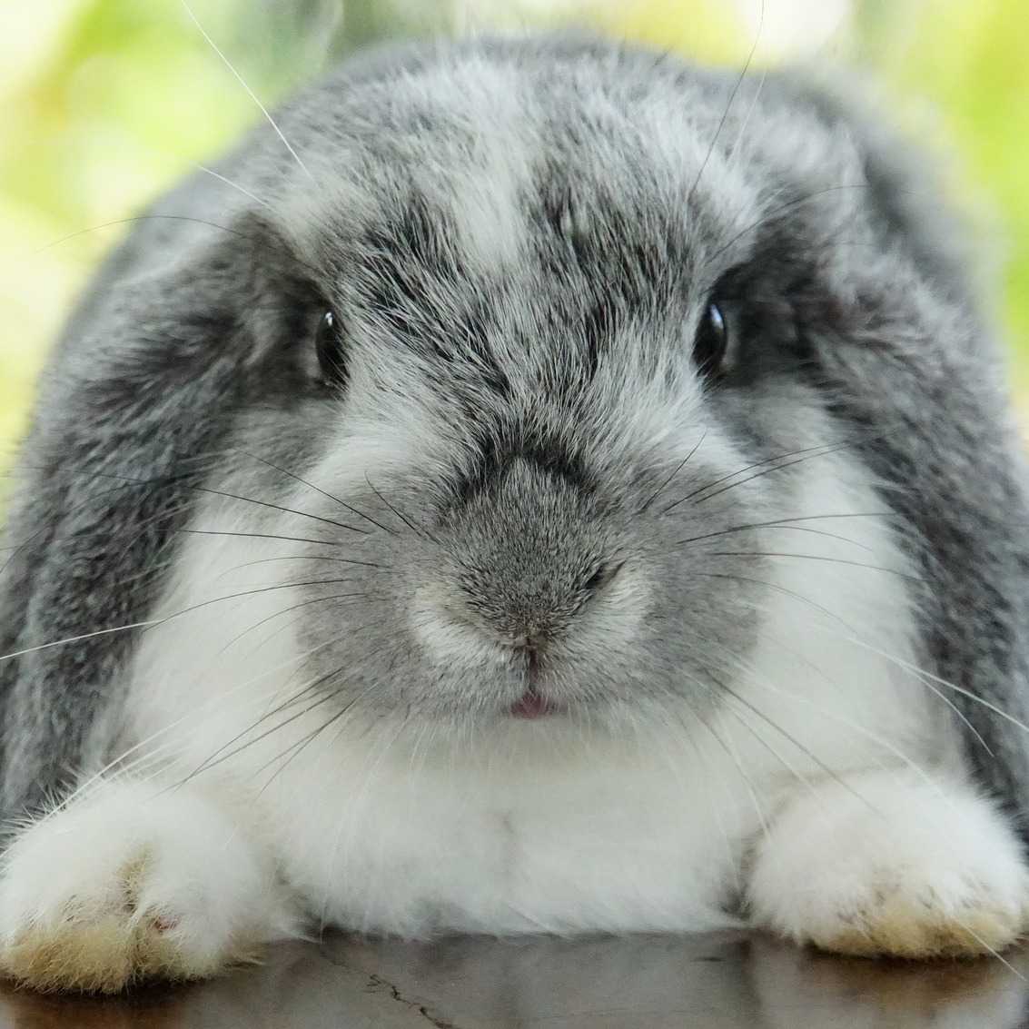 cagnotte pot de départ