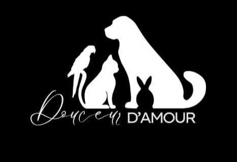 cagnotte cause animale