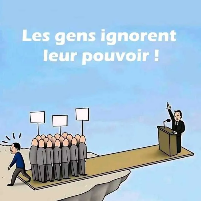 sondage social