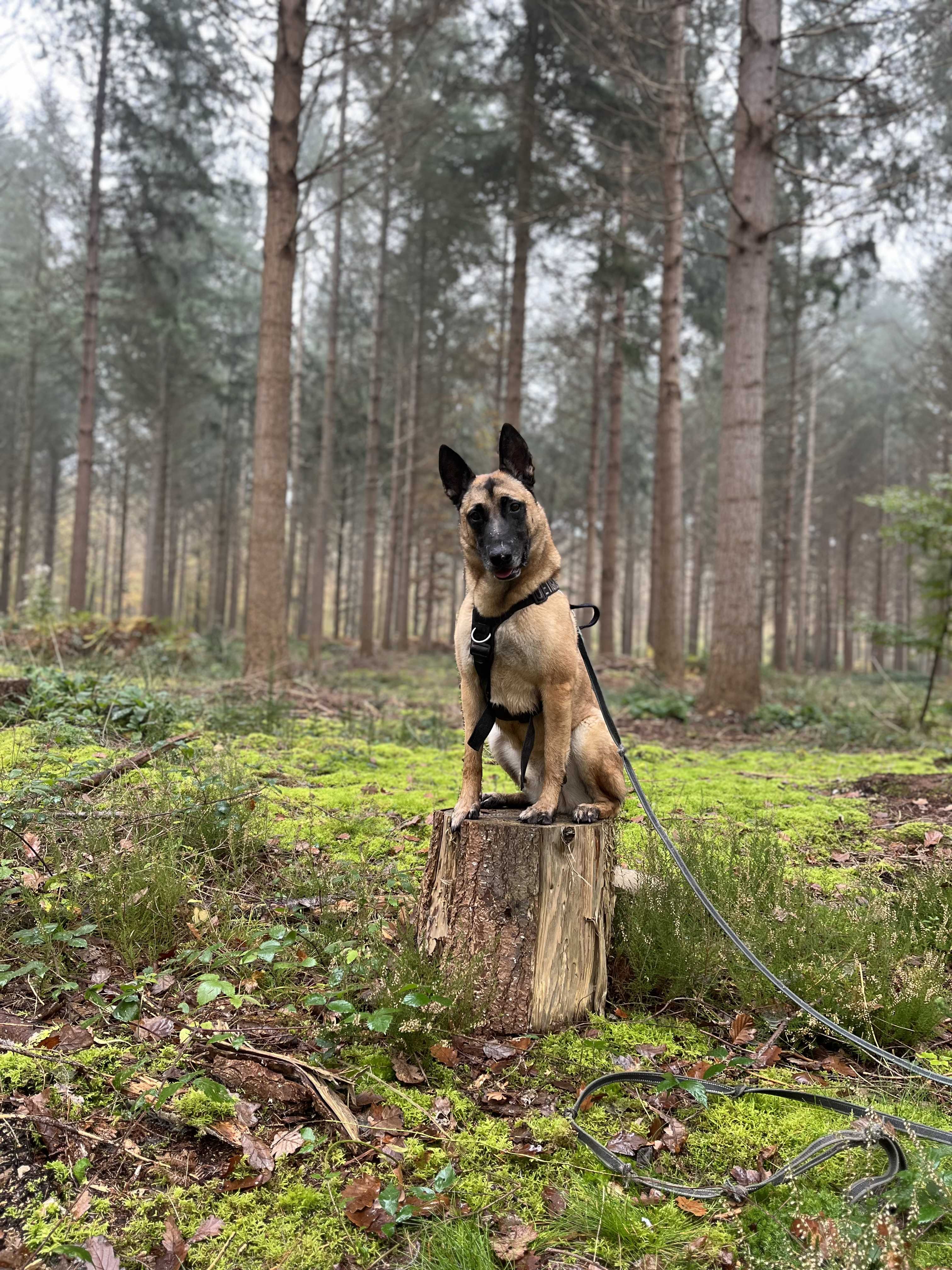 cagnotte entrepreneur