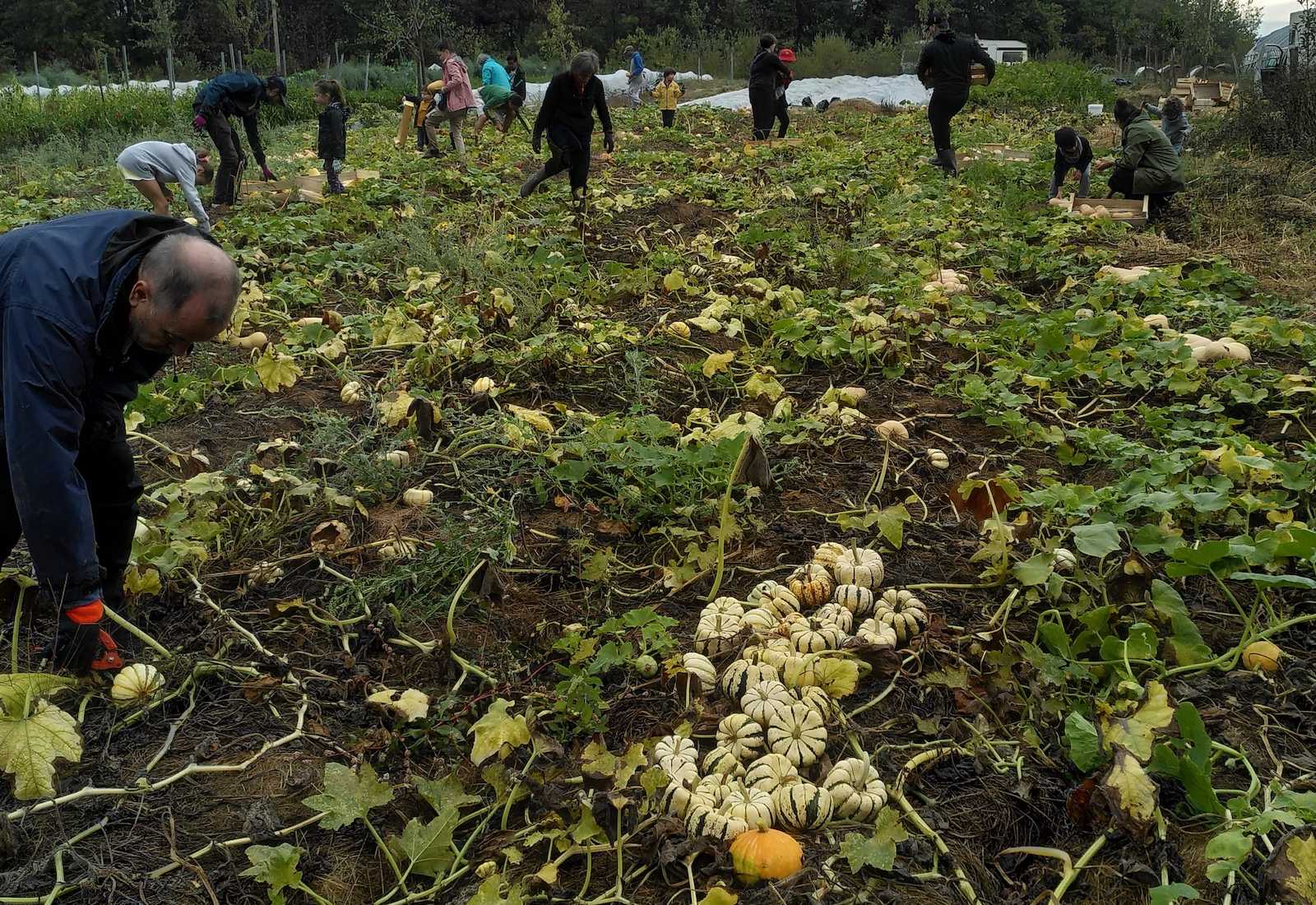 cagnotte entrepreneur