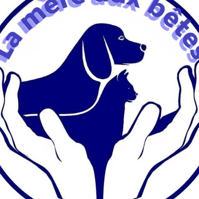 cagnotte association
