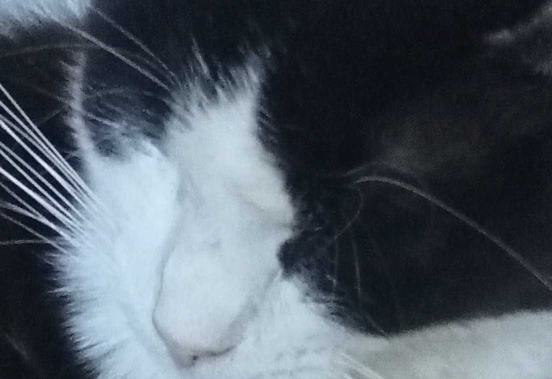 cagnotte autre