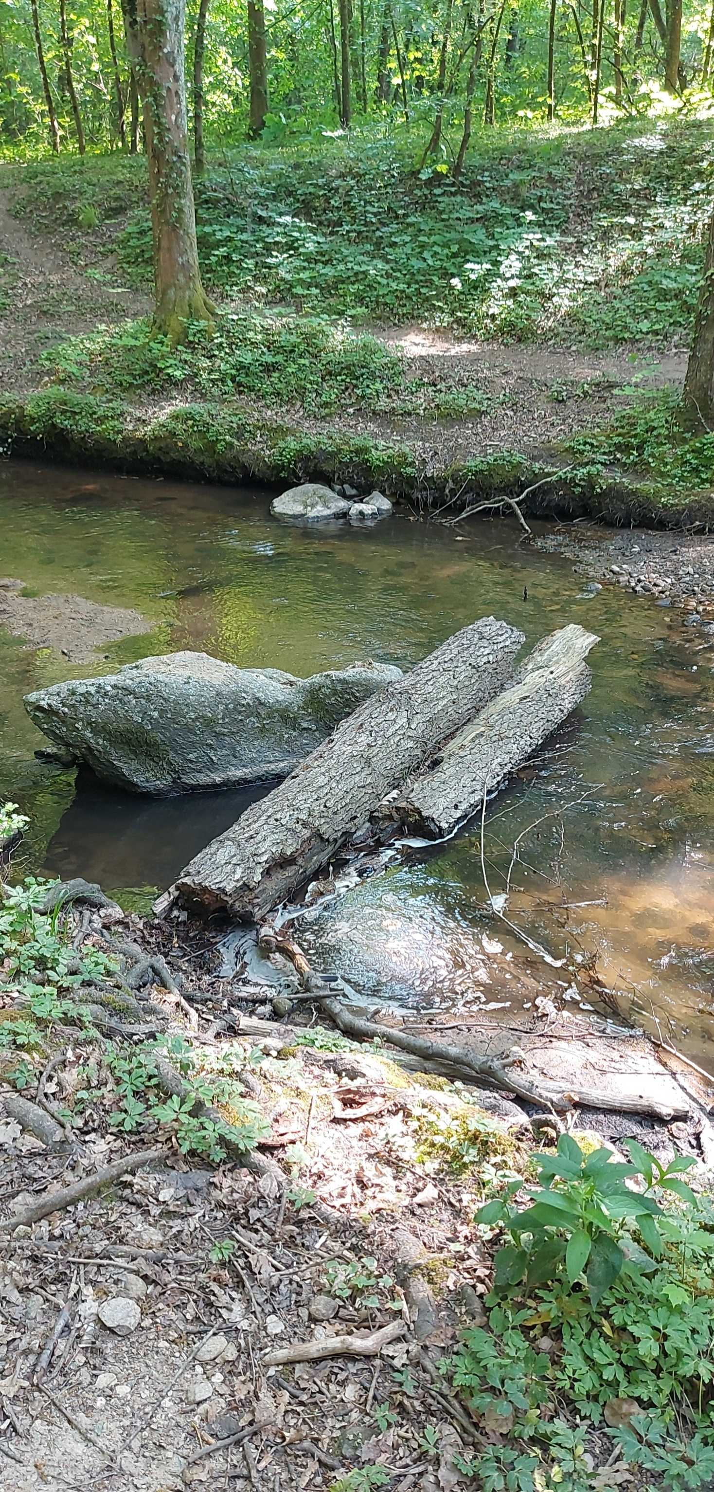 cagnotte solidarité
