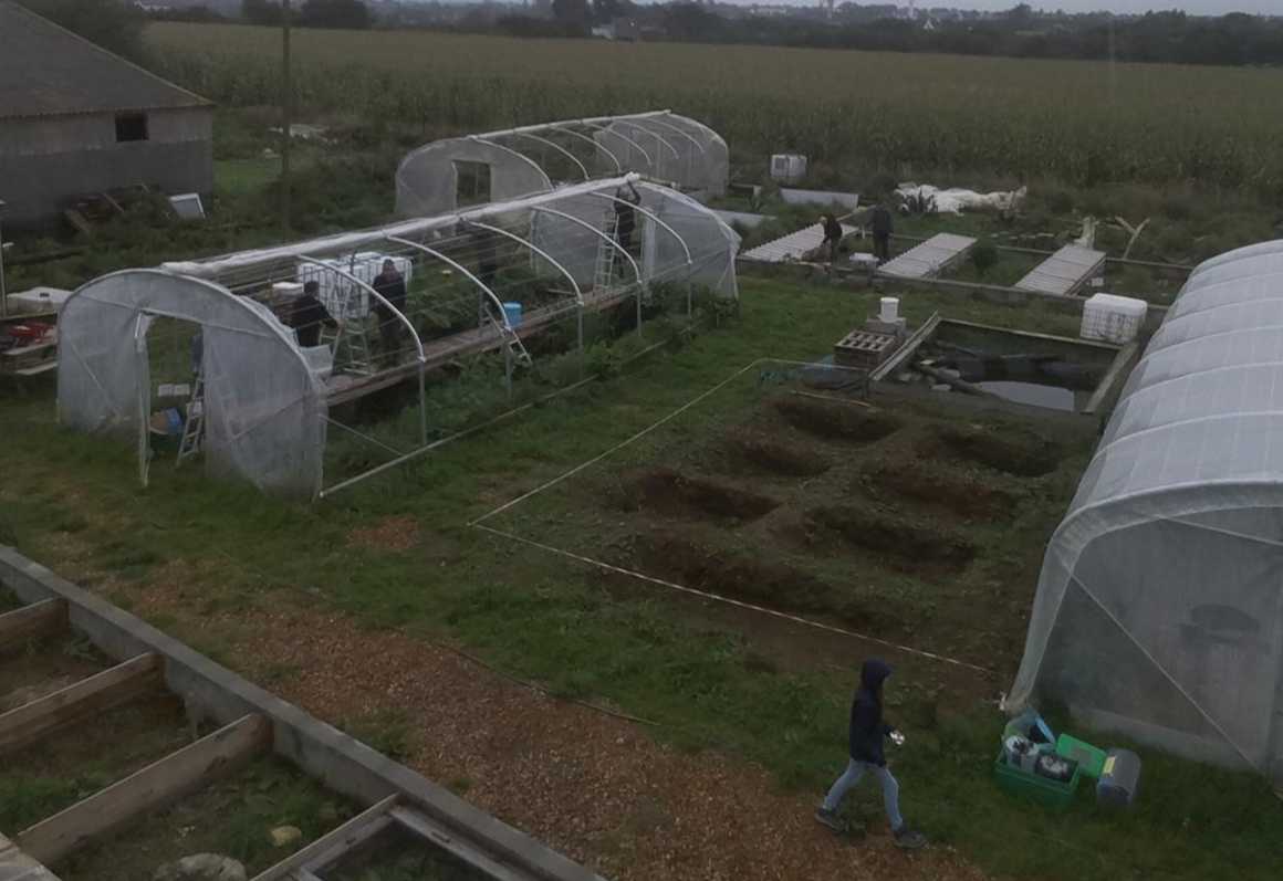 cagnotte cause animale