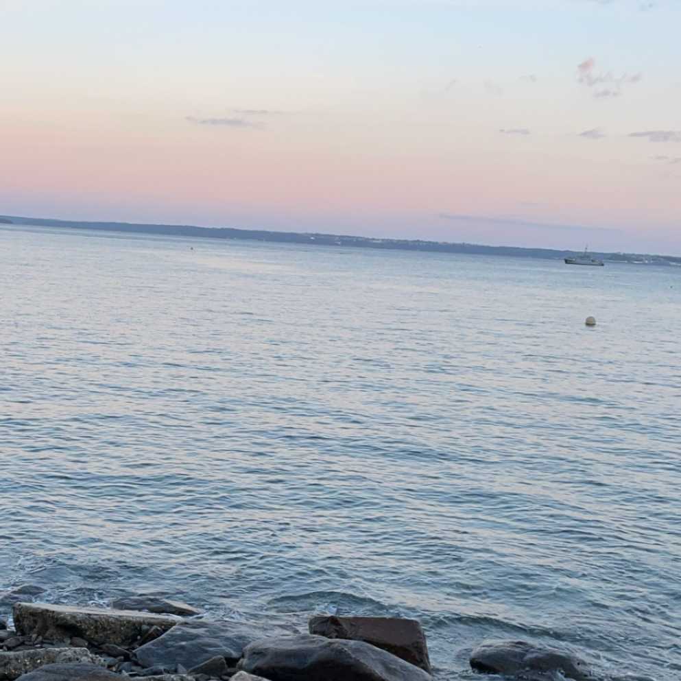 cagnotte humanitaire