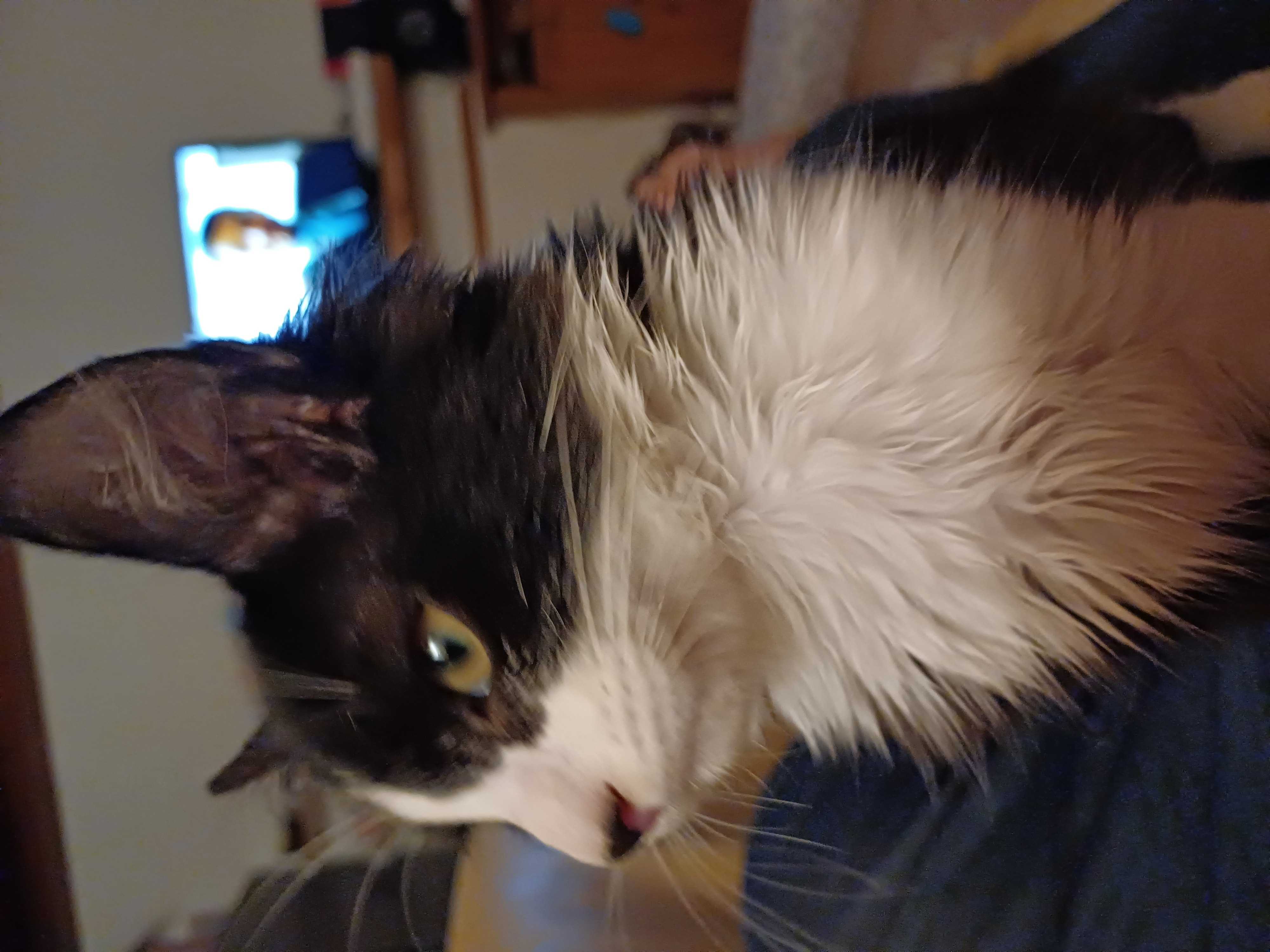 cagnotte anniversaire