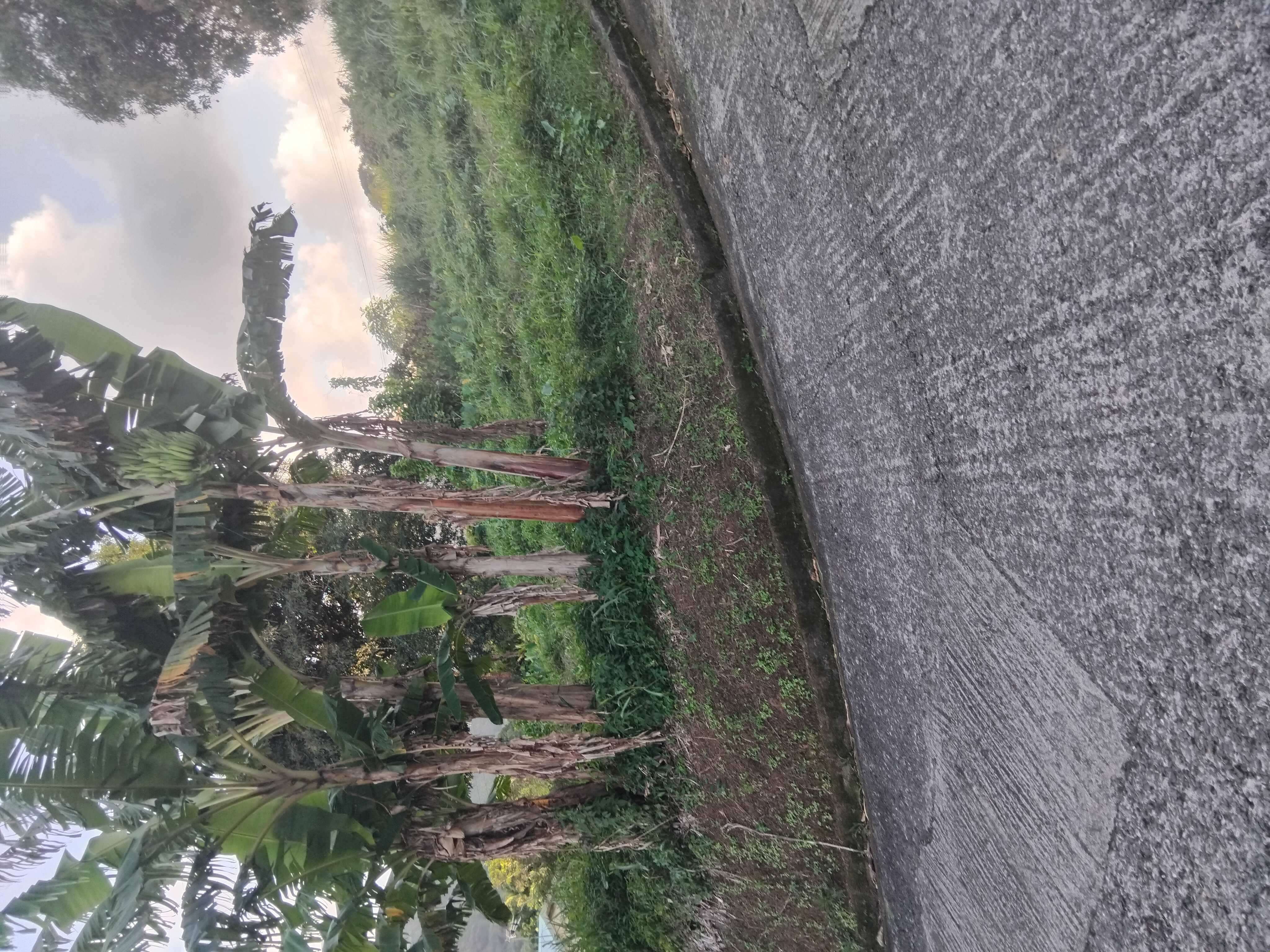 cagnotte solidarité