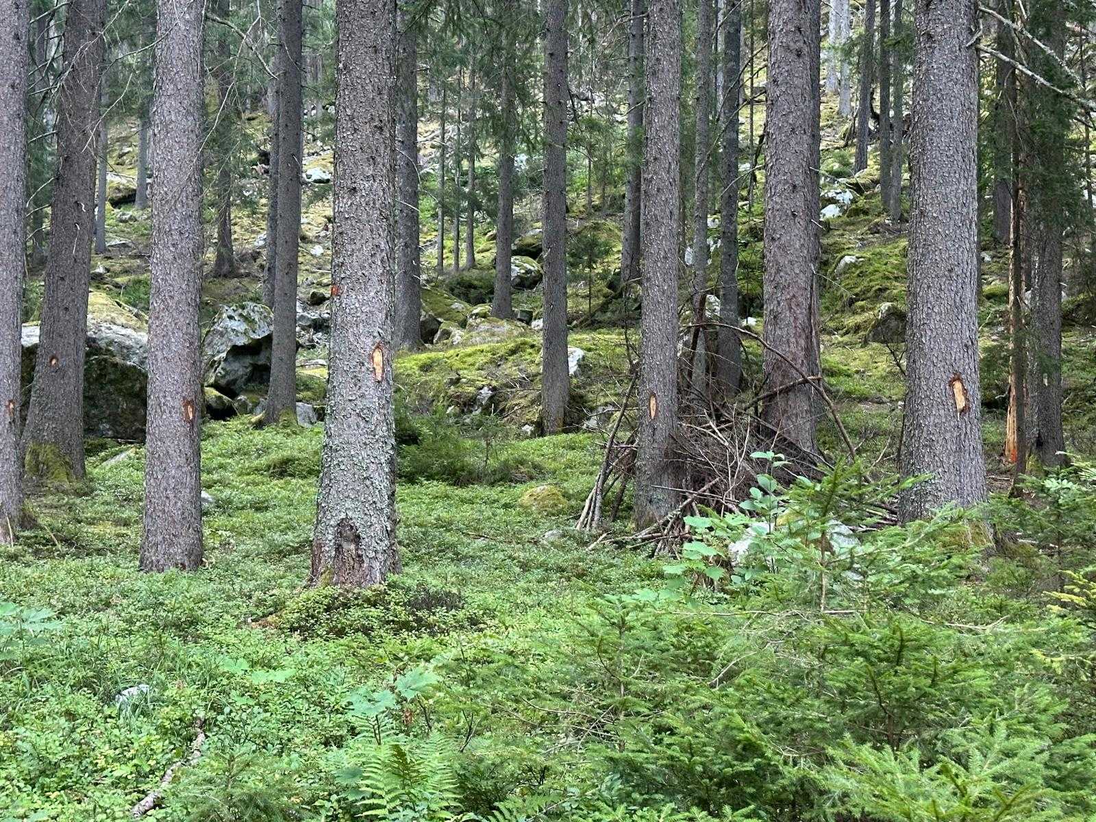 pétition environnement