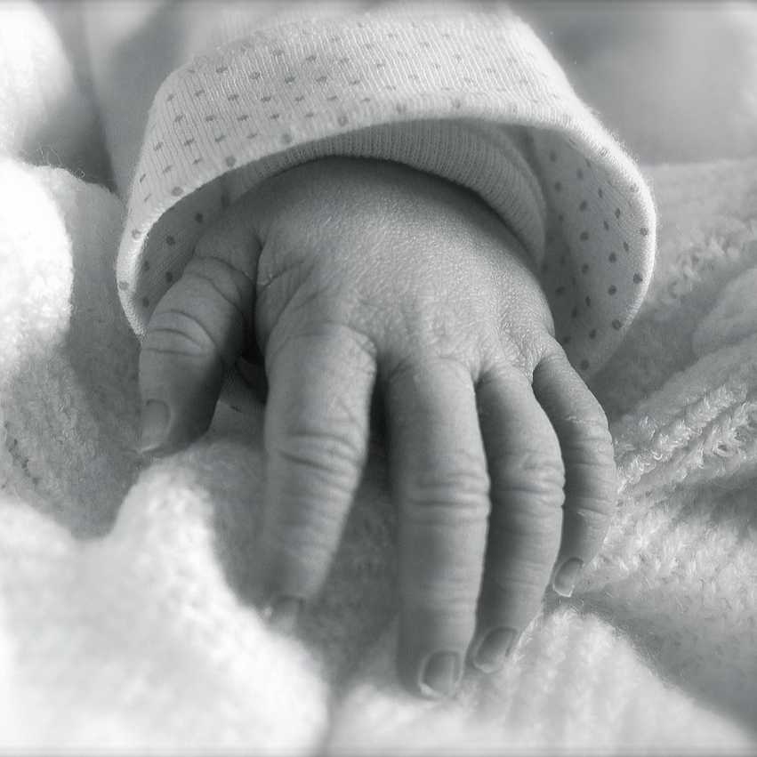 cagnotte naissance