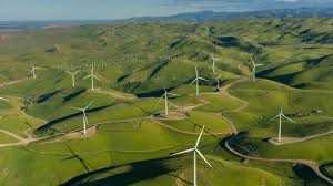 cagnotte entrepreneur