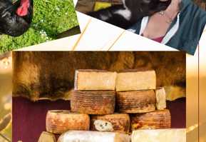 cagnotte entrepreneur