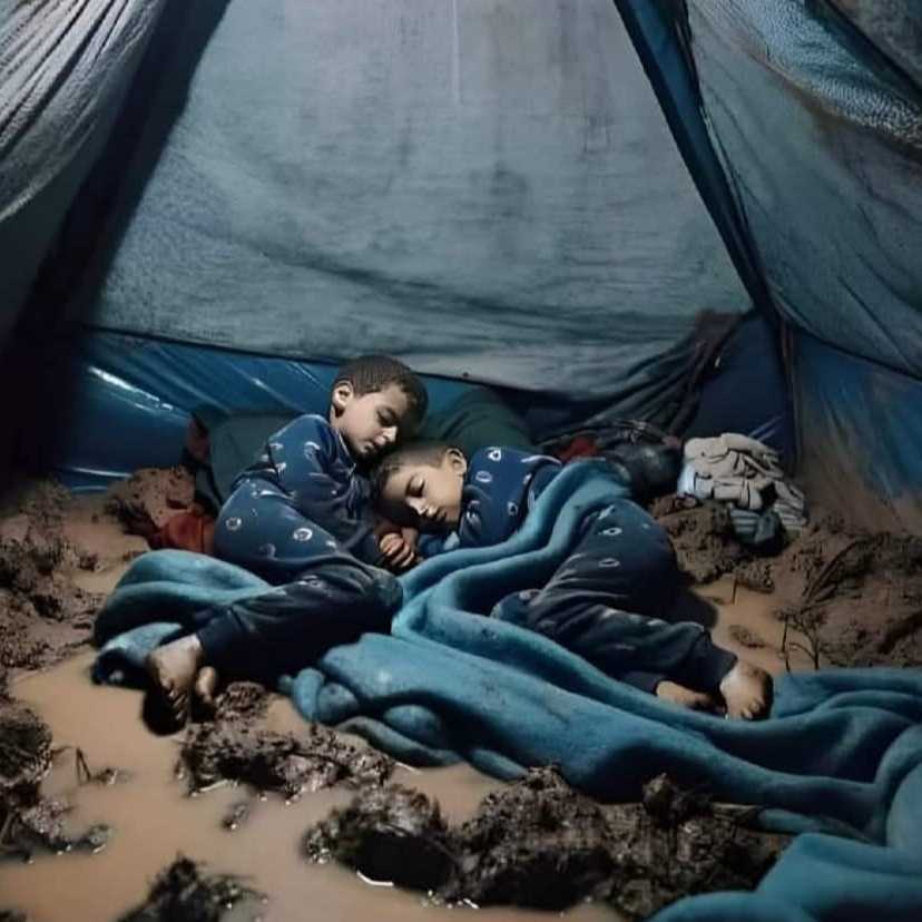 cagnotte humanitaire