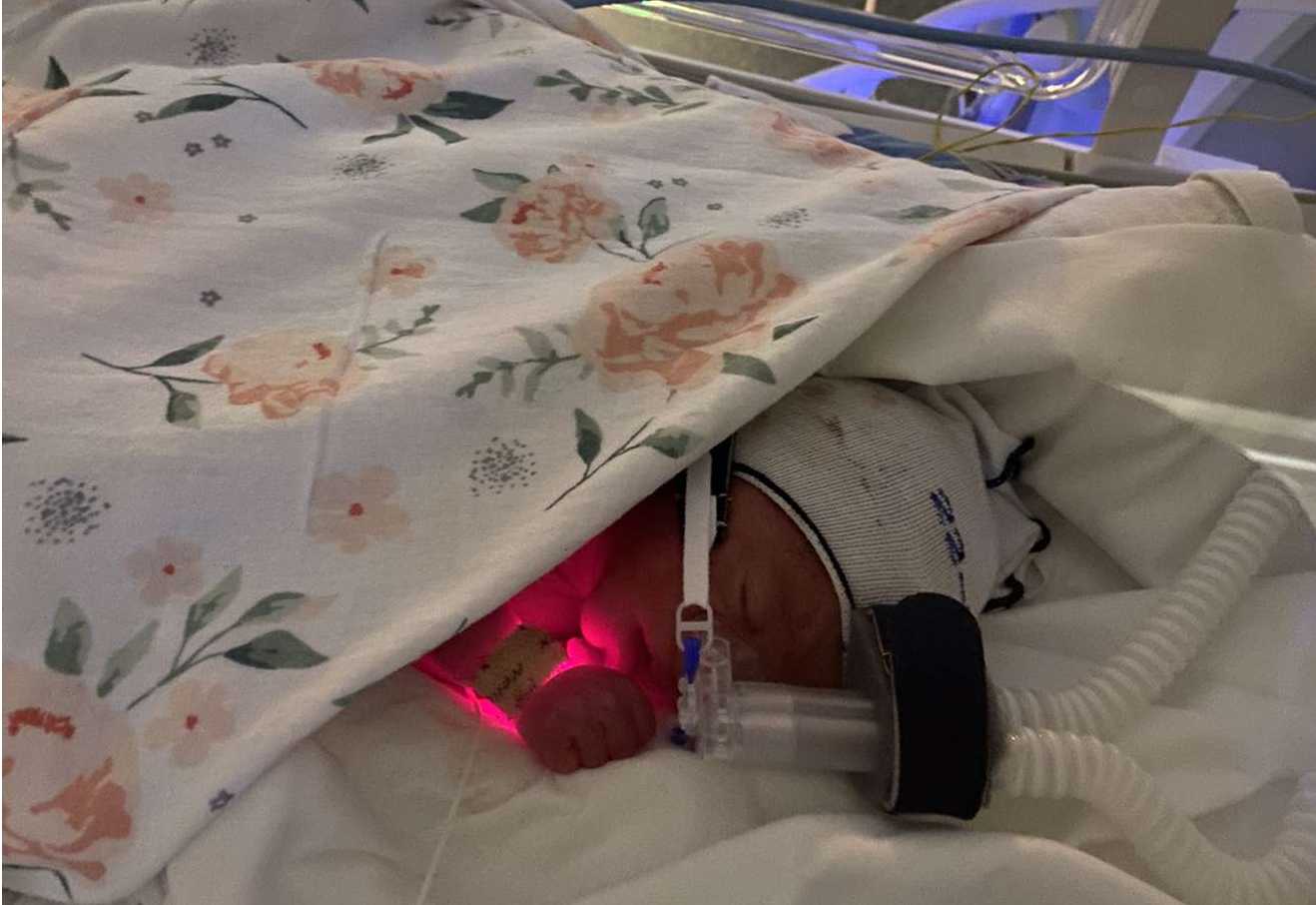 cagnotte naissance