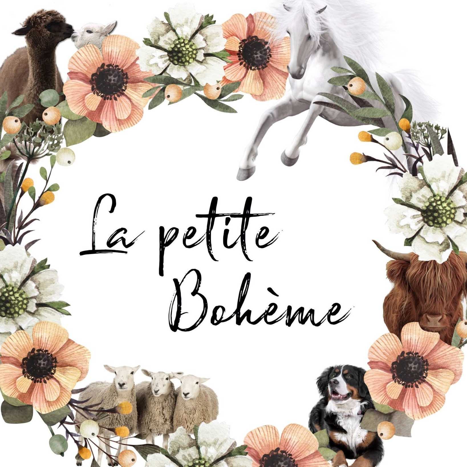 cagnotte cause animale