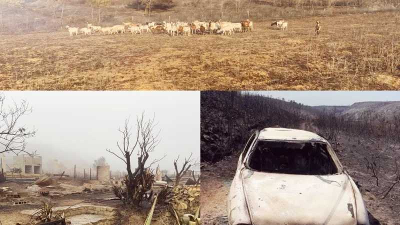 cagnotte solidarité