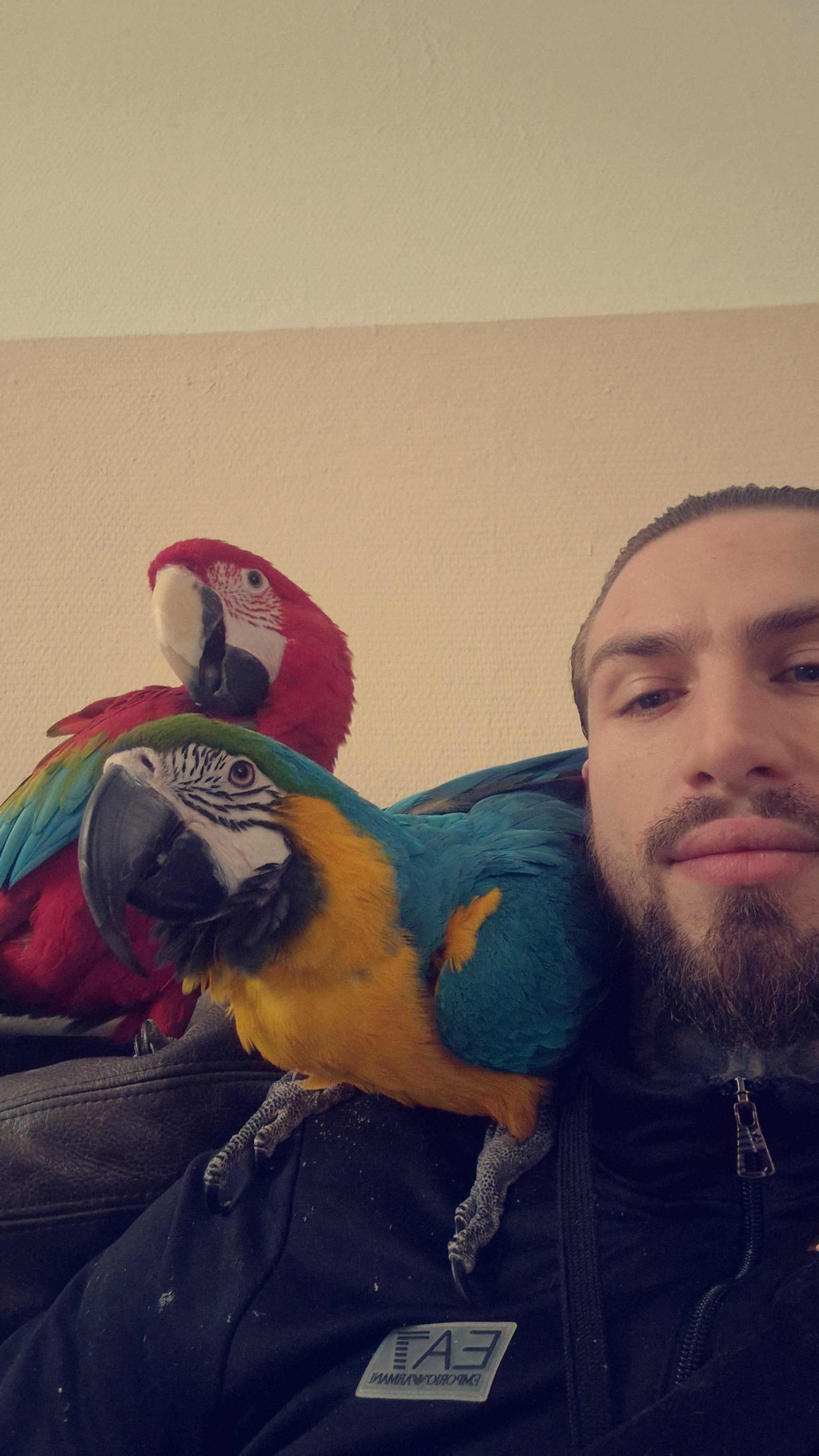 cagnotte humanitaire