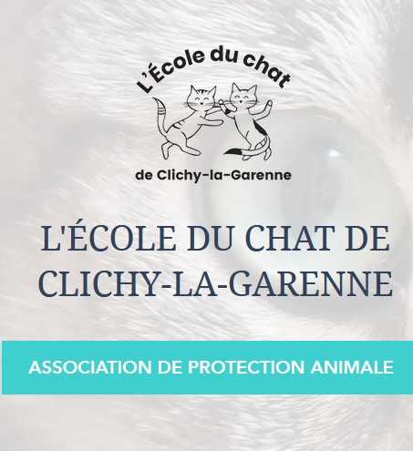 cagnotte association