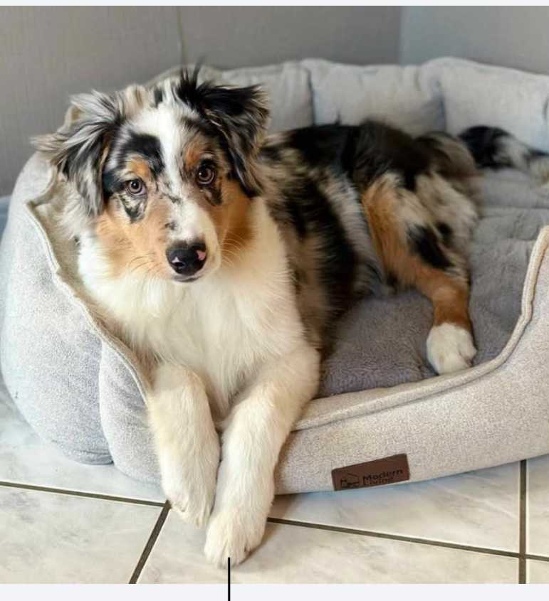 cagnotte anniversaire