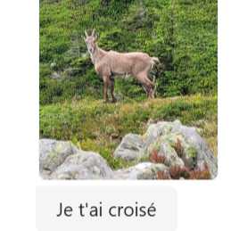 cagnotte pot de départ