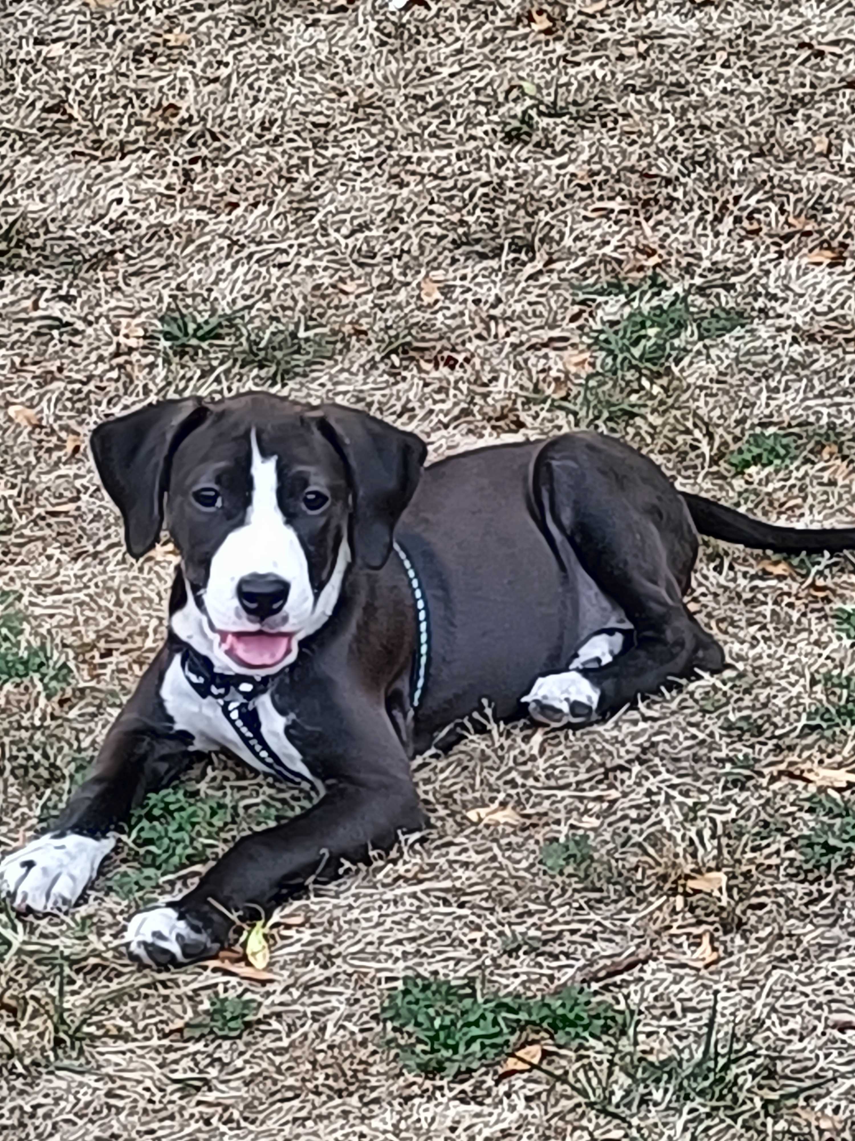 cagnotte entrepreneur