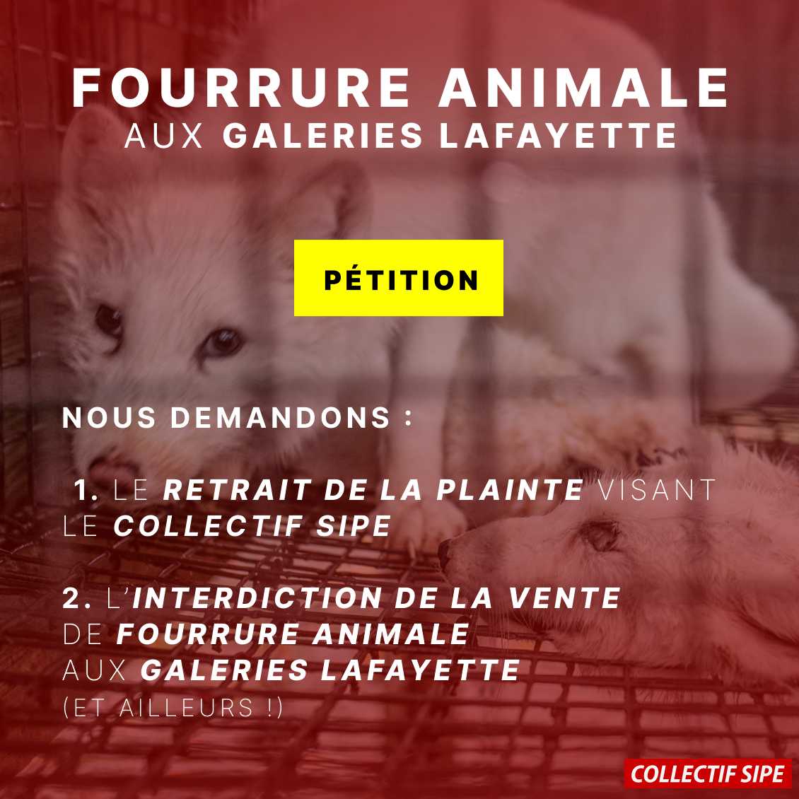 pétition animaux