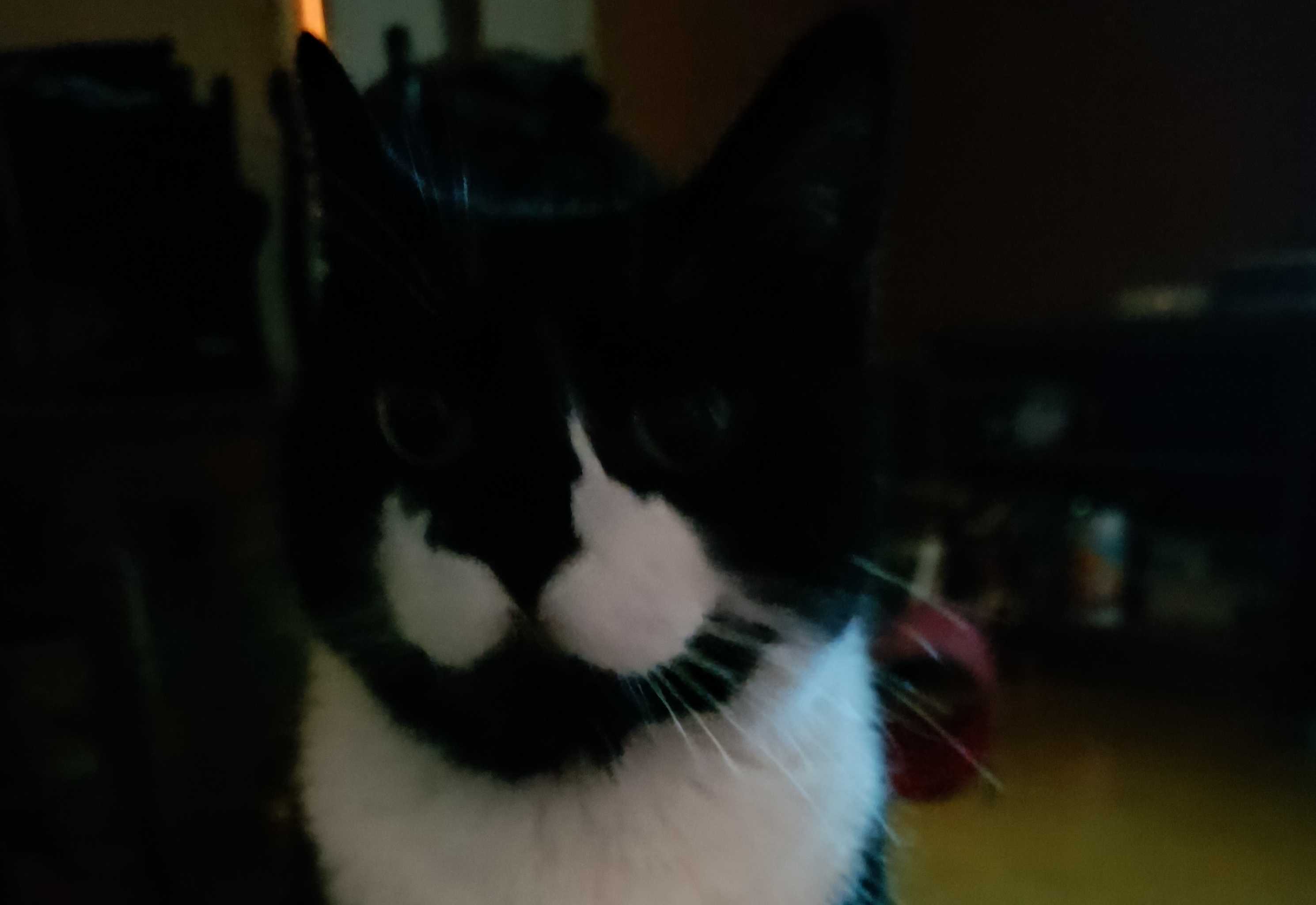 cagnotte autre