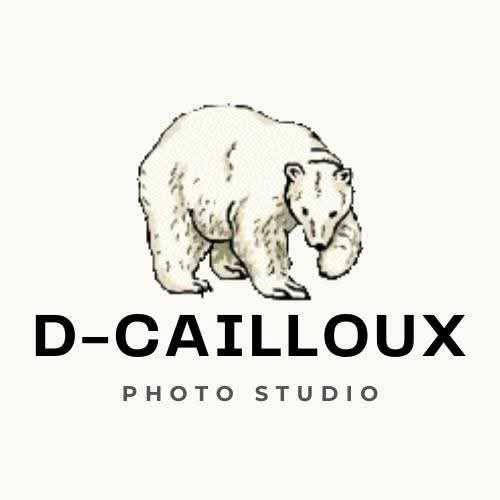 cagnotte entrepreneur