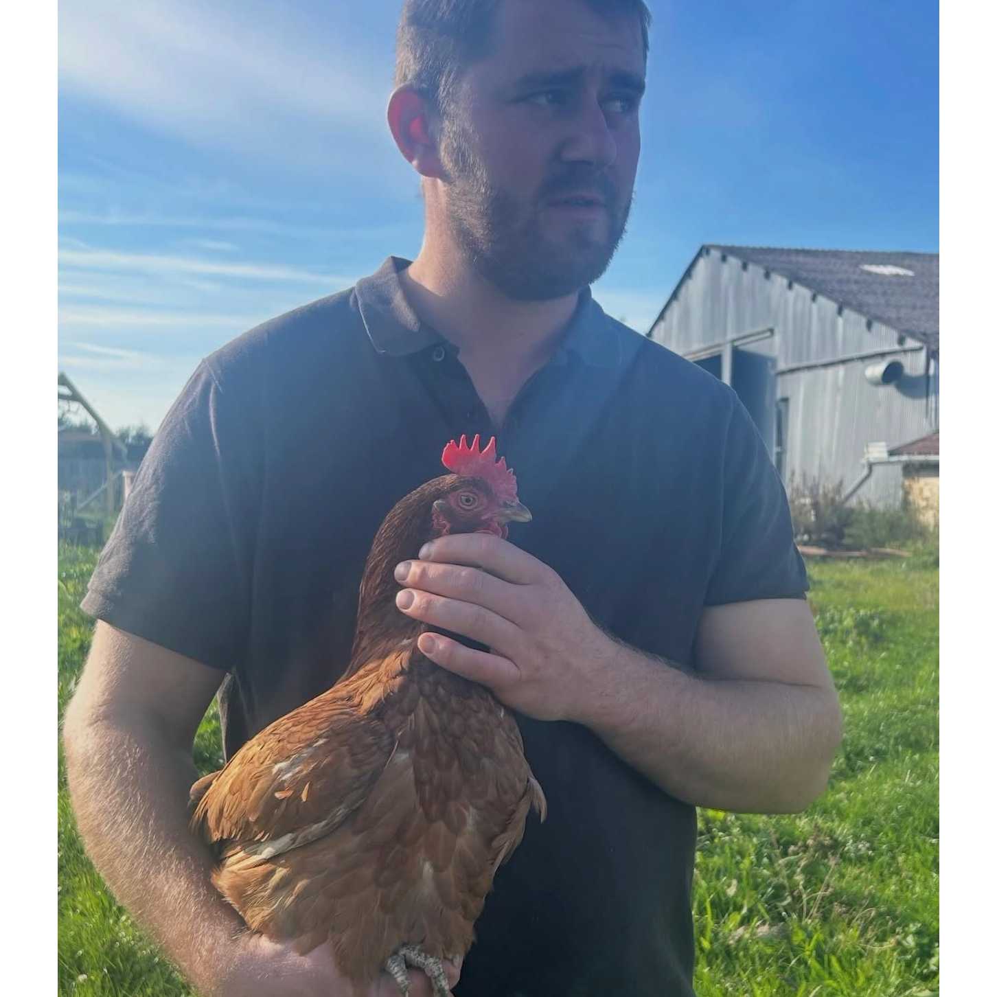 cagnotte cause animale