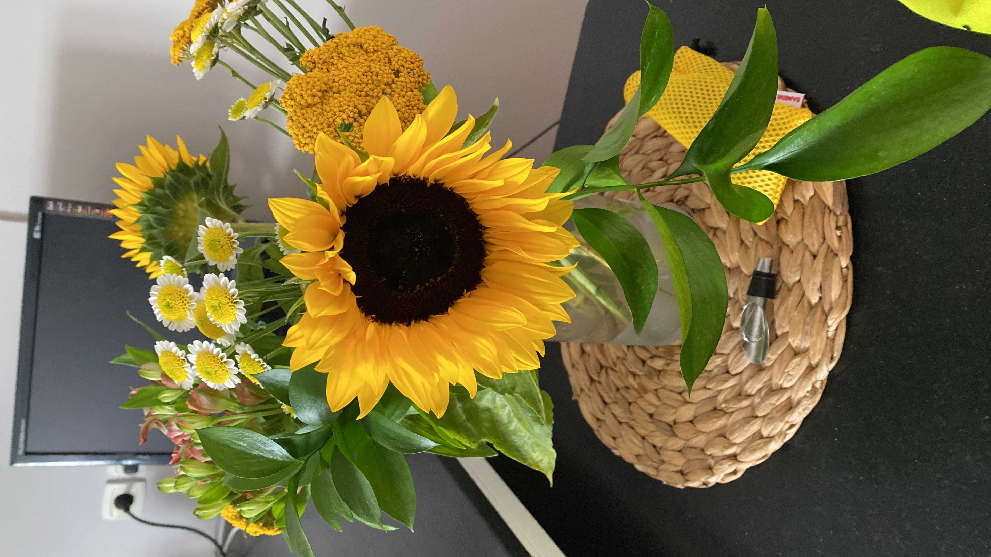 cagnotte solidarité