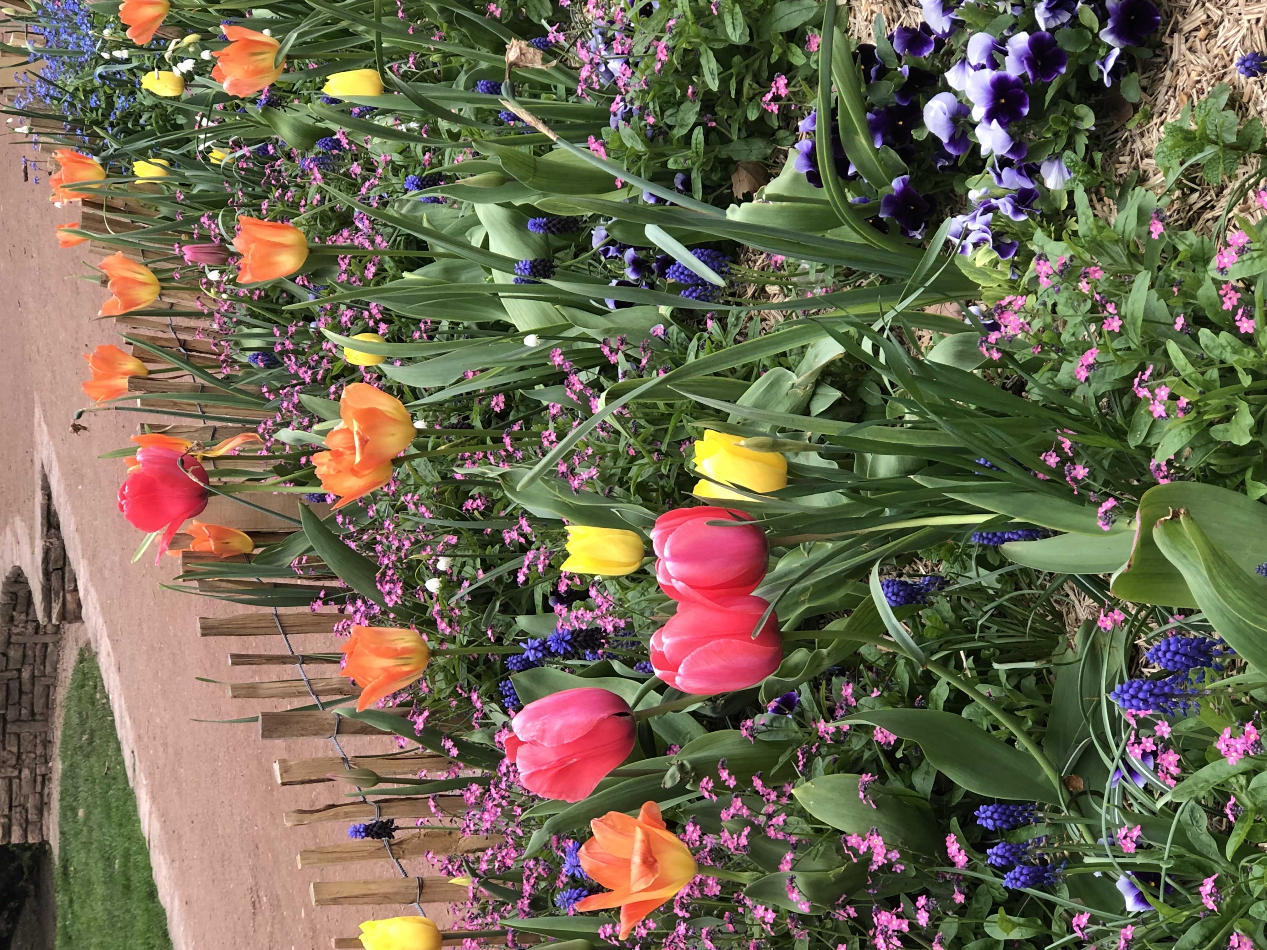 cagnotte solidarité