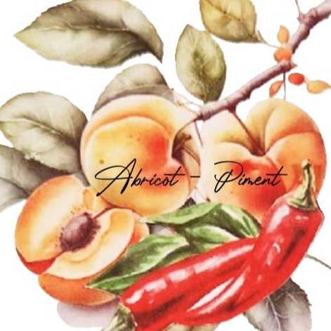 cagnotte association