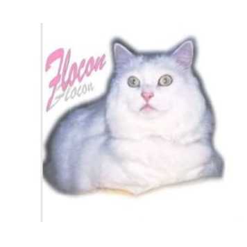 cagnotte cause animale