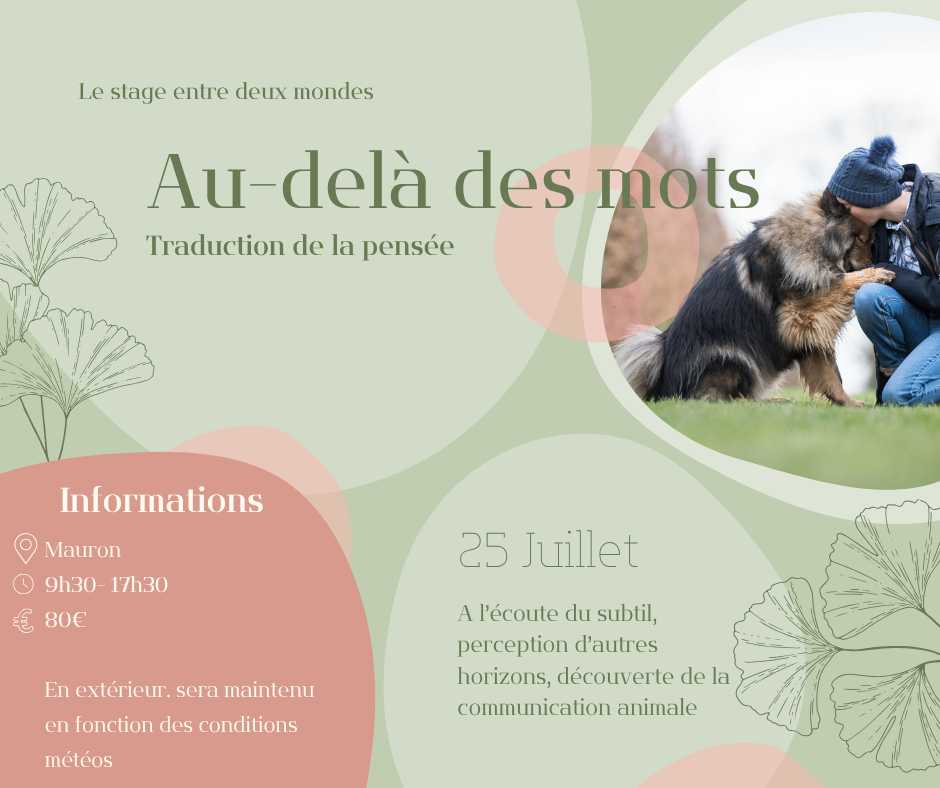 billetterie cours particulier