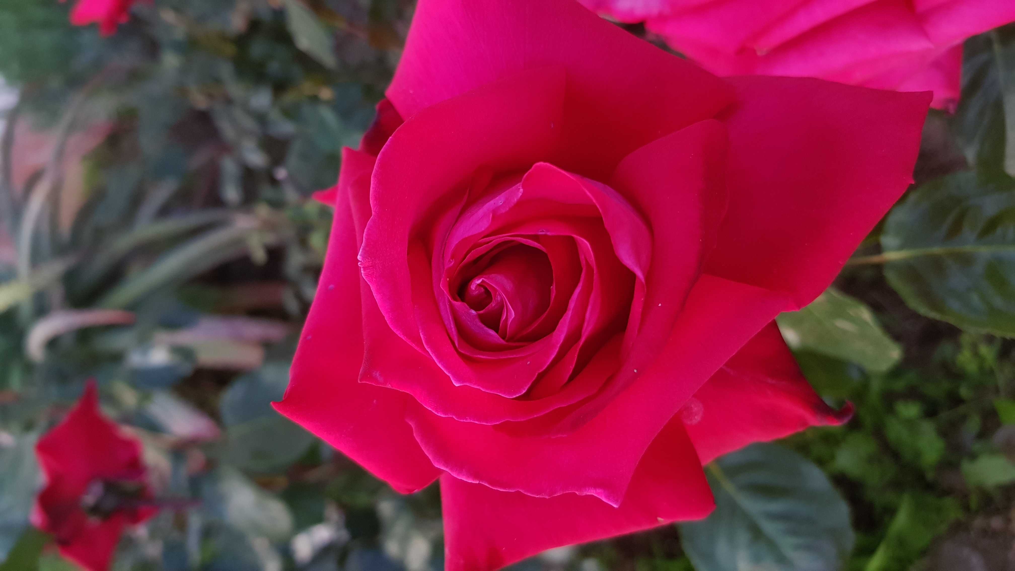 cagnotte anniversaire