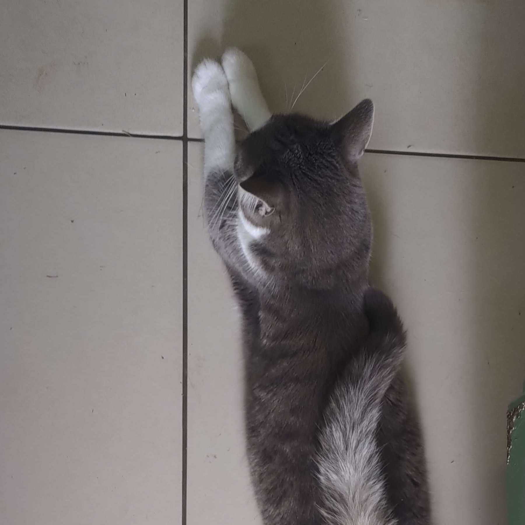 cagnotte autre