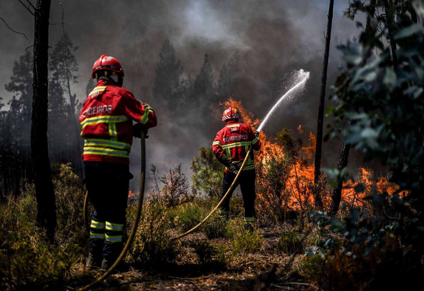 cagnotte solidarité