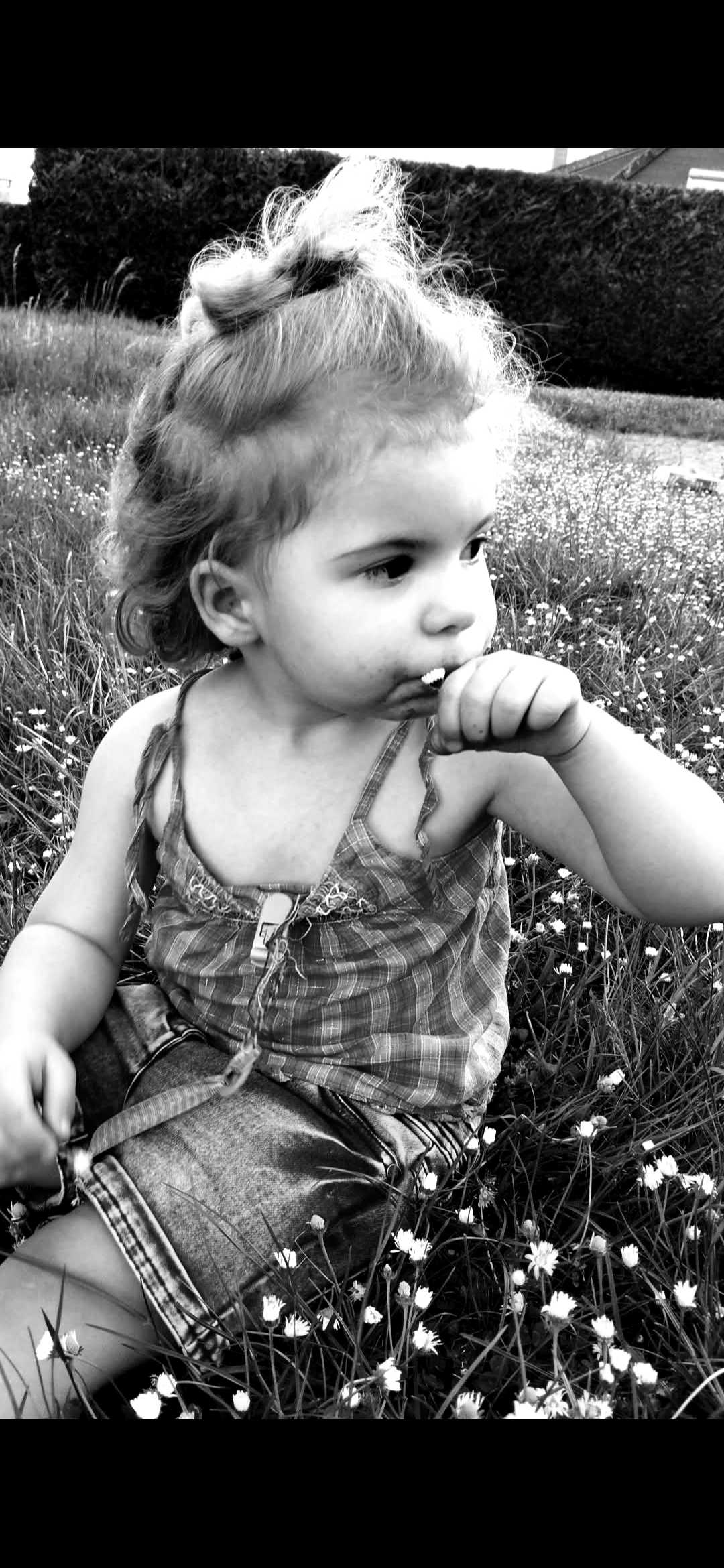 cagnotte anniversaire