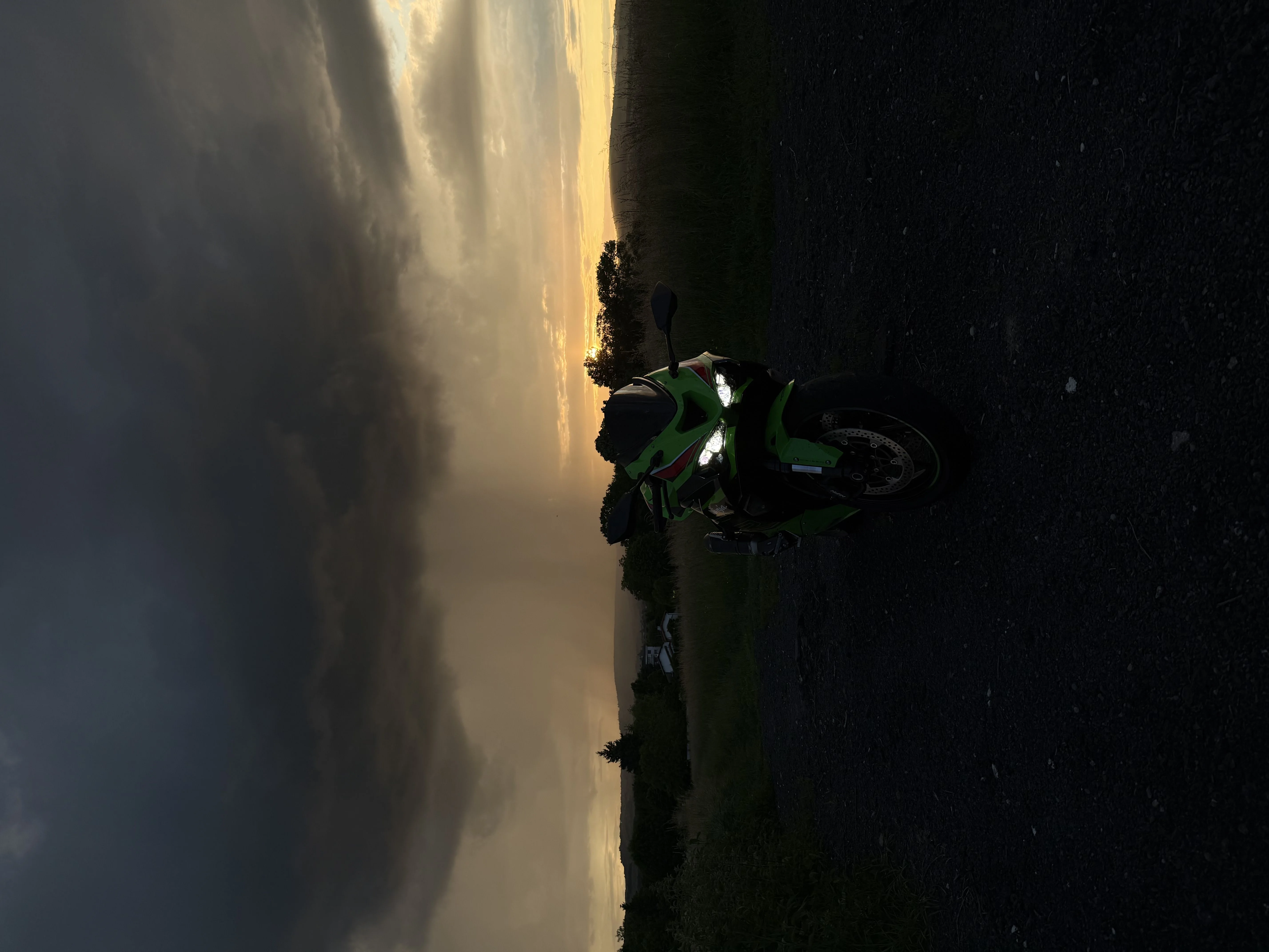 Image de profil
